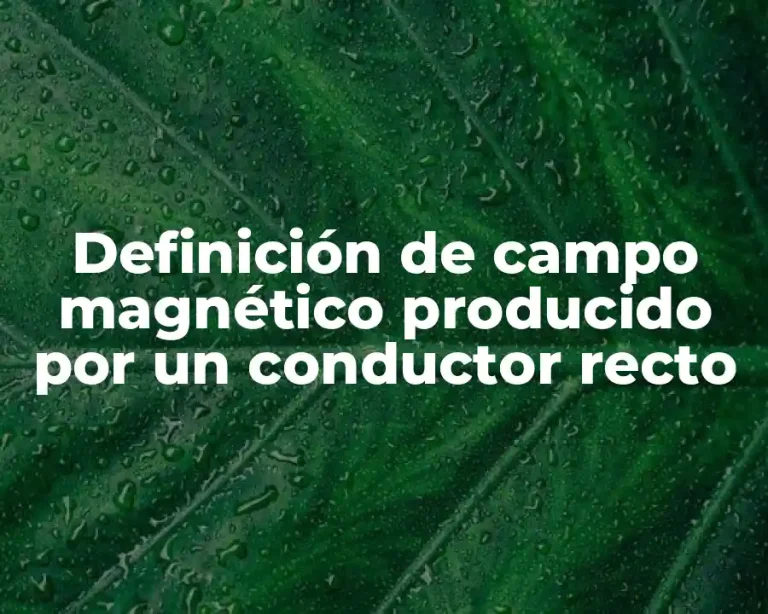 Definición de campo magnético producido por un conductor recto