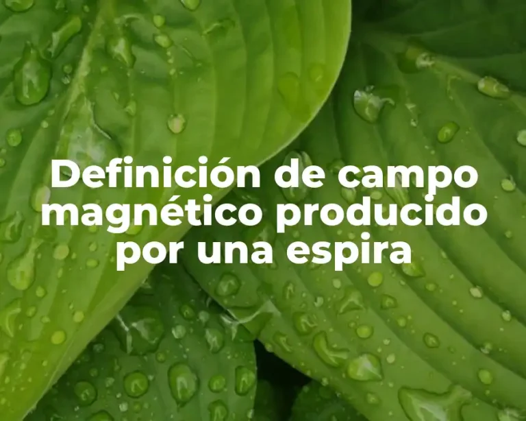 Definición de campo magnético producido por una espira