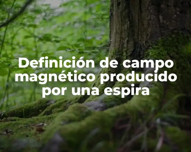 Definición de campo magnético producido por una espira