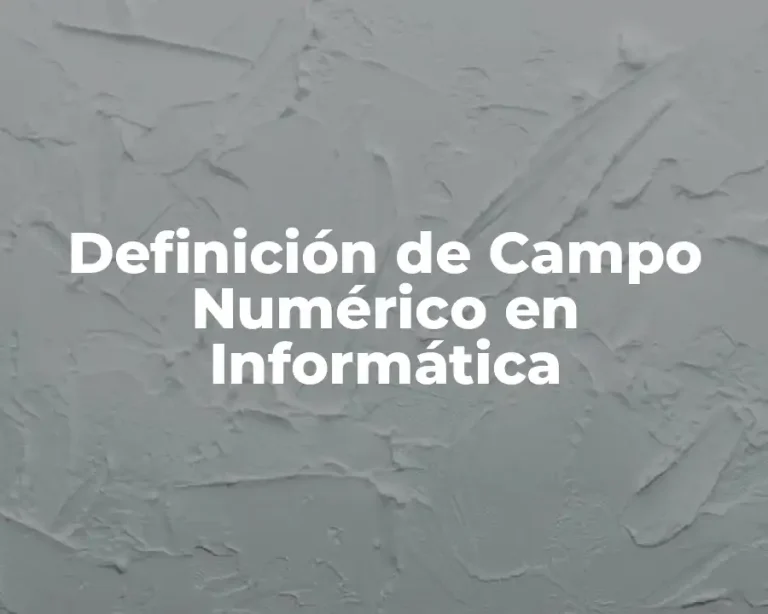 Definición de Campo Numérico en Informática