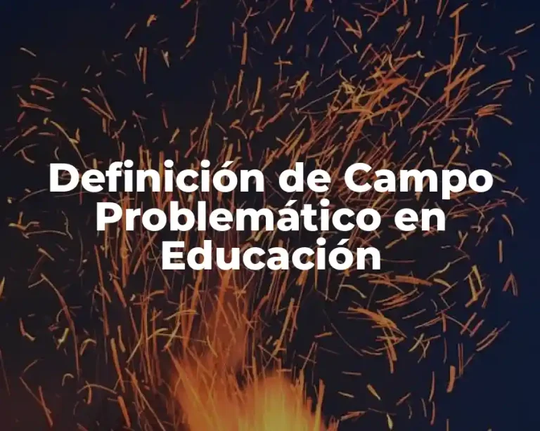 Definición de Campo Problemático en Educación