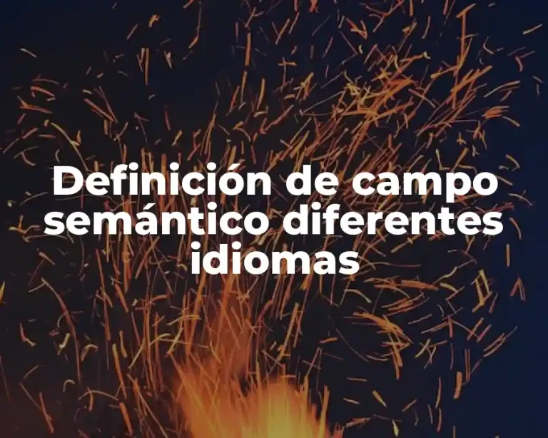 Definición de campo semántico diferentes idiomas