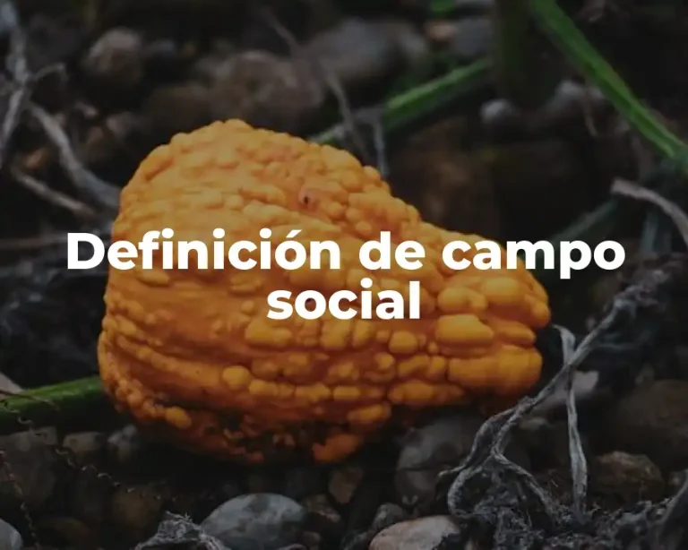 Definición de campo social