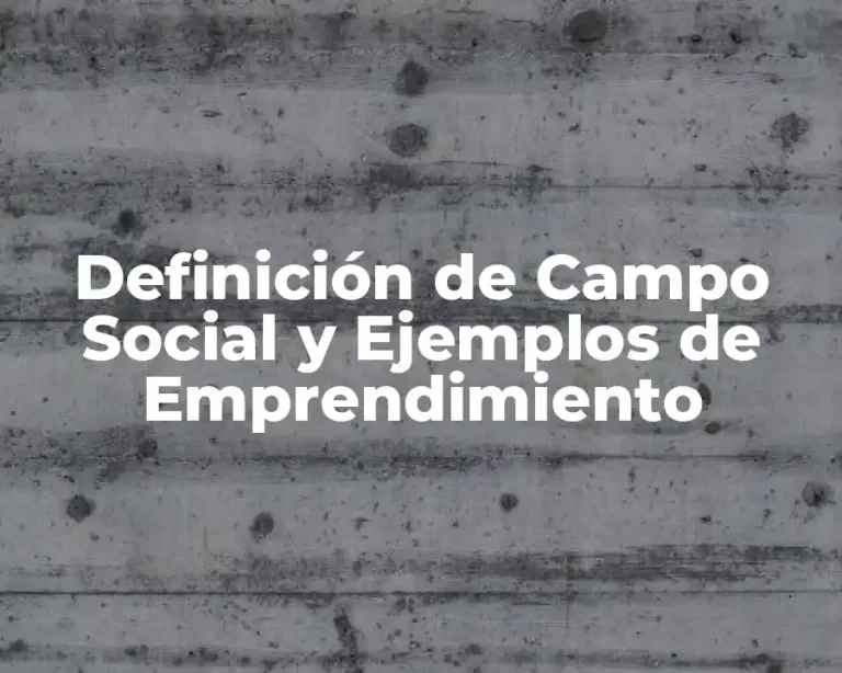 Definición de Campo Social y Ejemplos de Emprendimiento