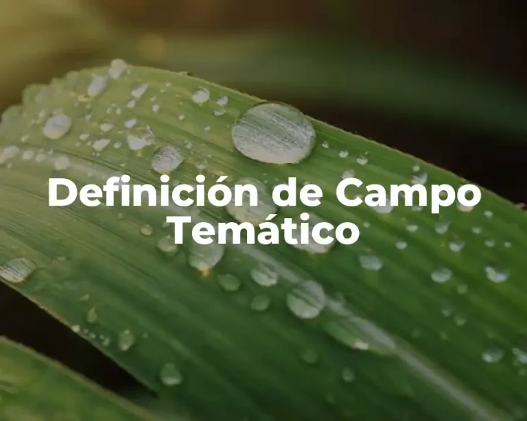 Definición de Campo Temático
