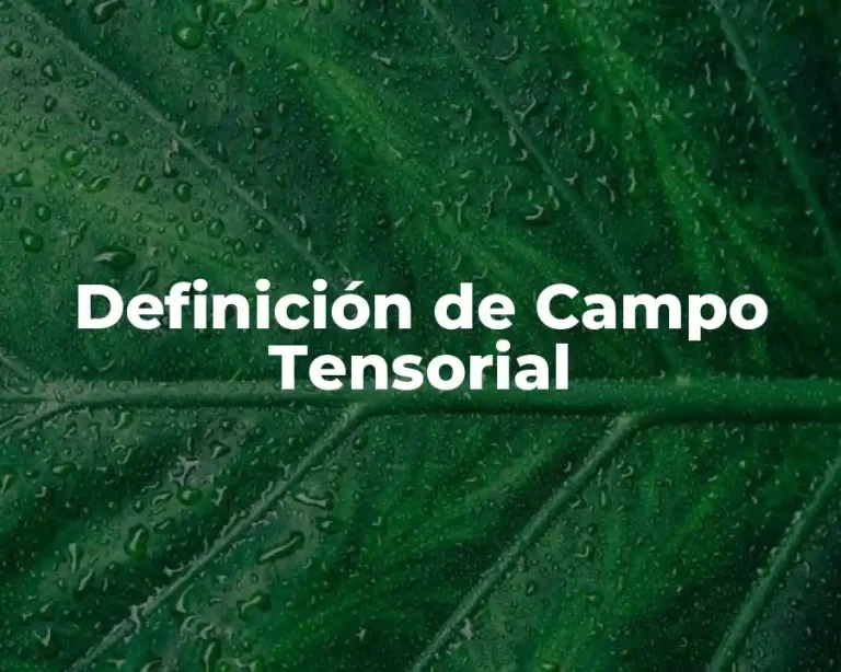 Definición de Campo Tensorial