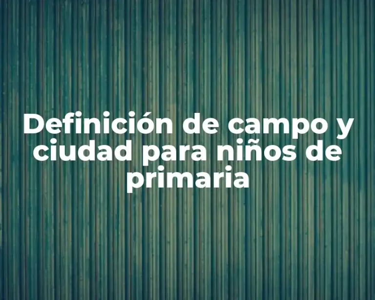 Definición de campo y ciudad para niños de primaria