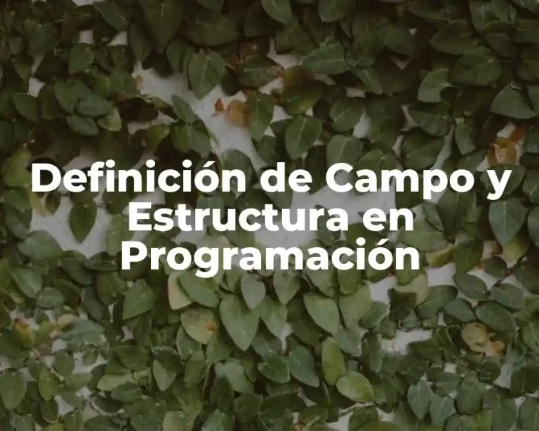 Definición de Campo y Estructura en Programación