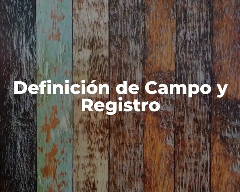 Definición de Campo y Registro