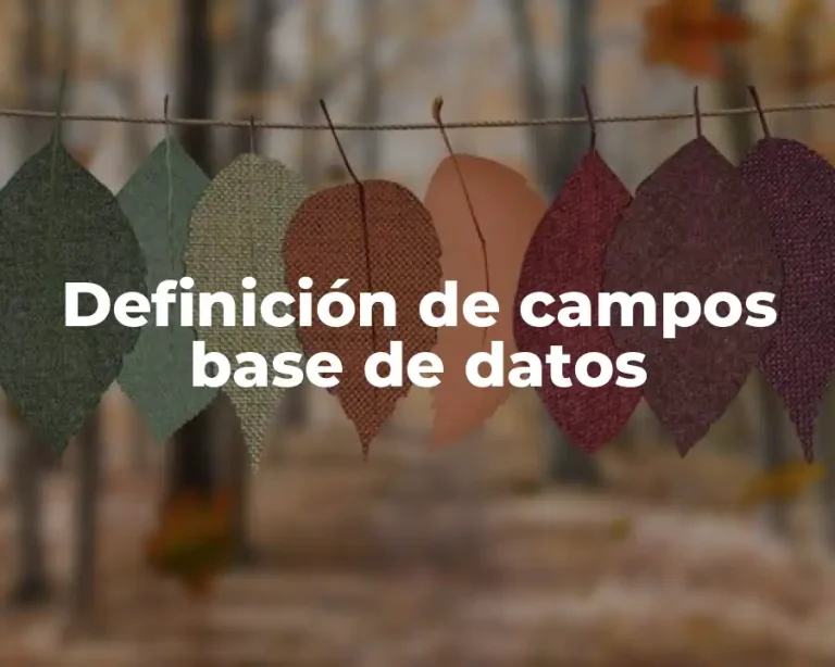 Definición de campos base de datos
