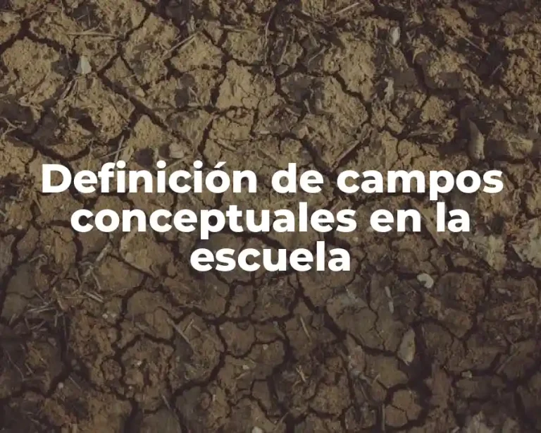 Definición de campos conceptuales en la escuela