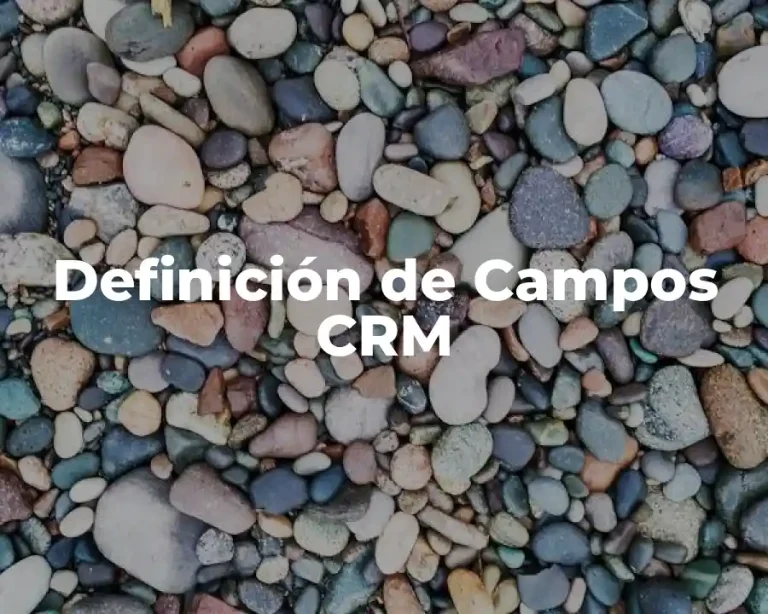 Definición de Campos CRM
