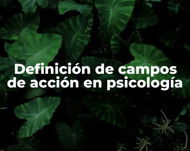 Definición de campos de acción en psicología