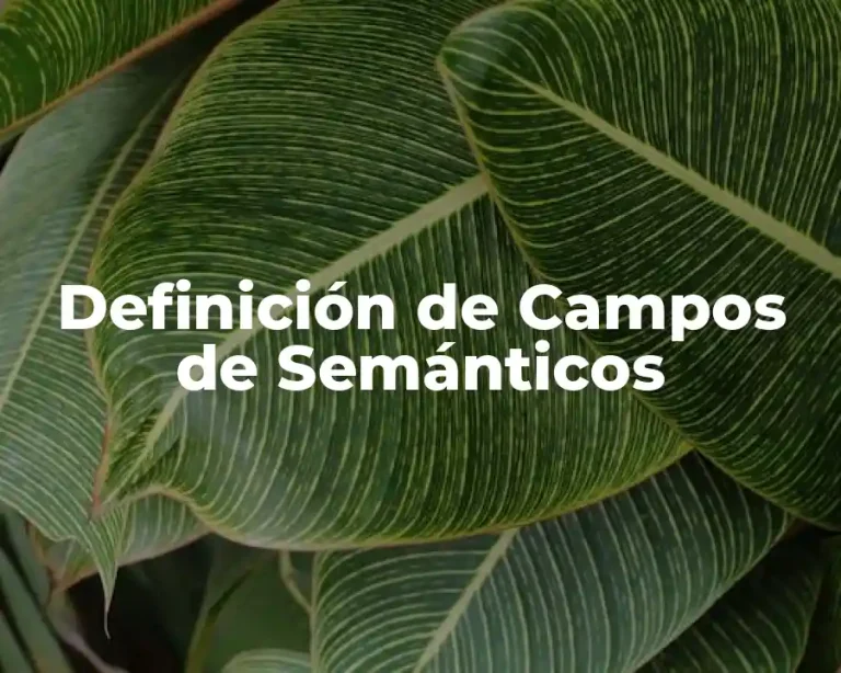 Definición de Campos de Semánticos