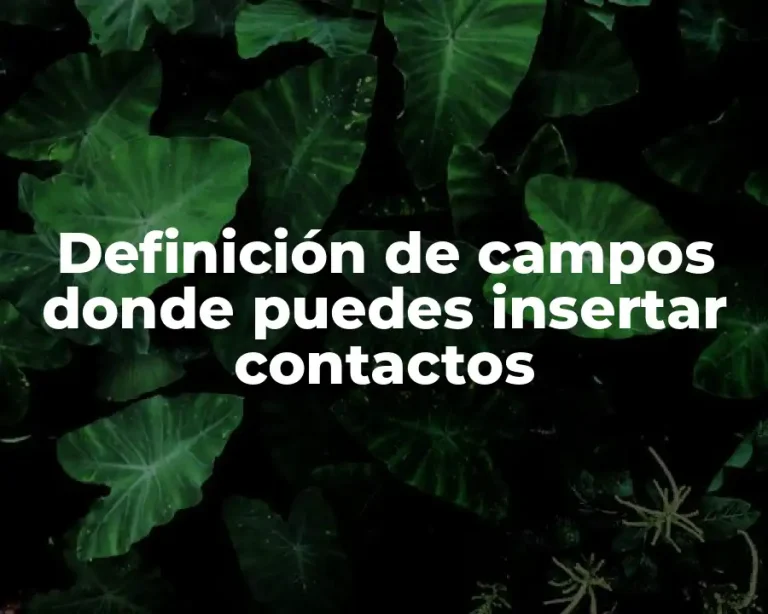 Definición de campos donde puedes insertar contactos