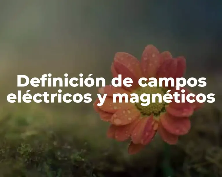 Definición de campos eléctricos y magnéticos