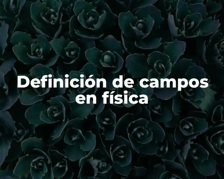 Definición de campos en física