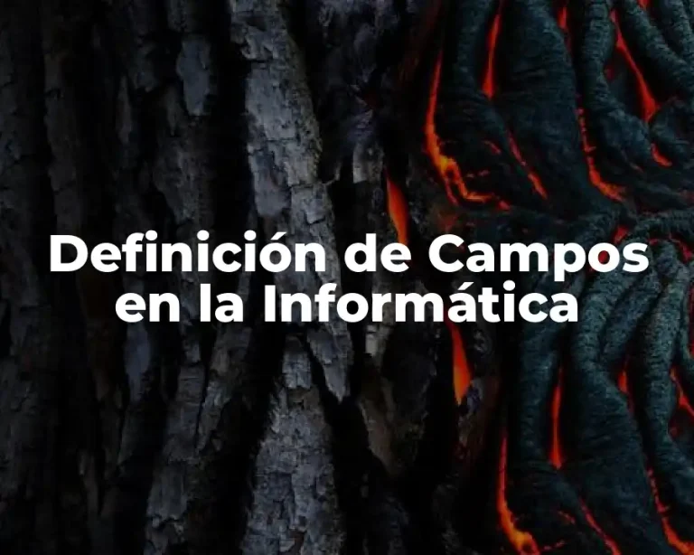 Definición de Campos en la Informática