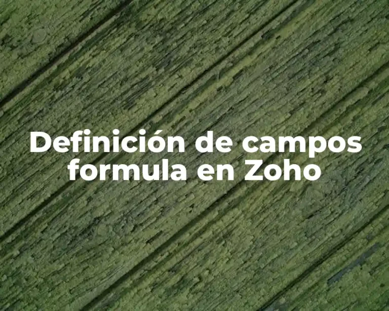 Definición de campos formula en Zoho