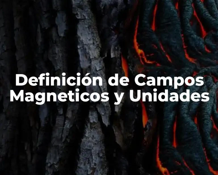 Definición de Campos Magneticos y Unidades
