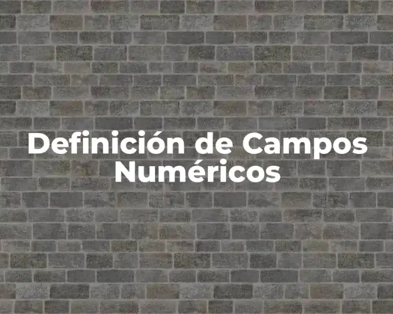 Definición de Campos Numéricos