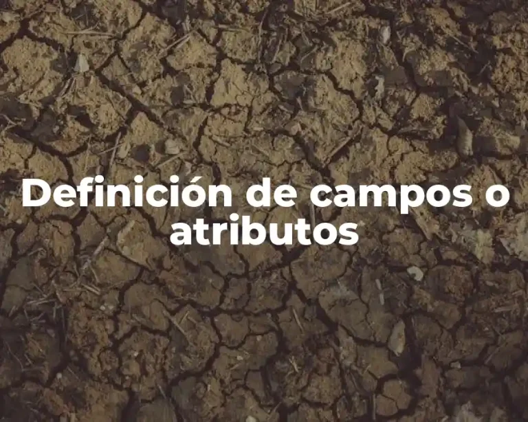 Definición de campos o atributos