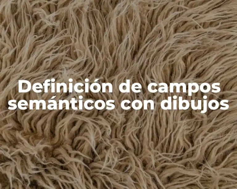 Definición de campos semánticos con dibujos