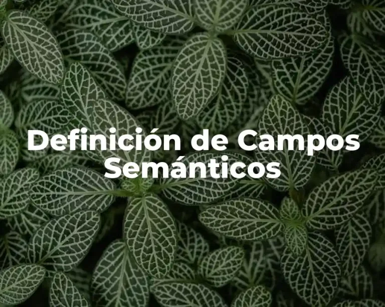 Definición de Campos Semánticos