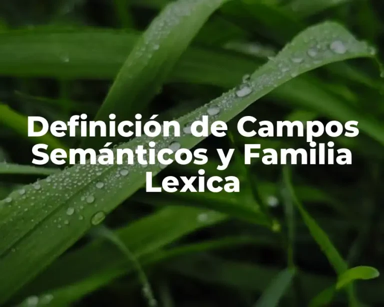 Definición de Campos Semánticos y Familia Lexica