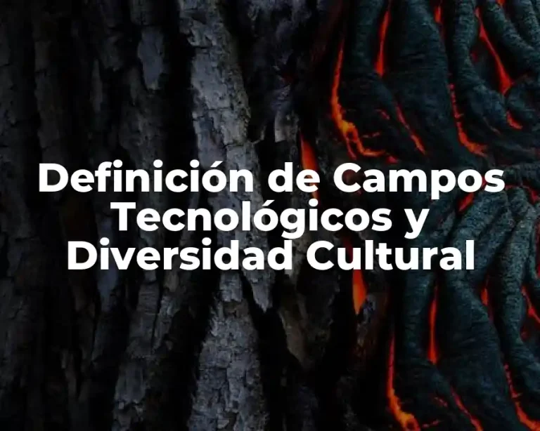 Definición de Campos Tecnológicos y Diversidad Cultural