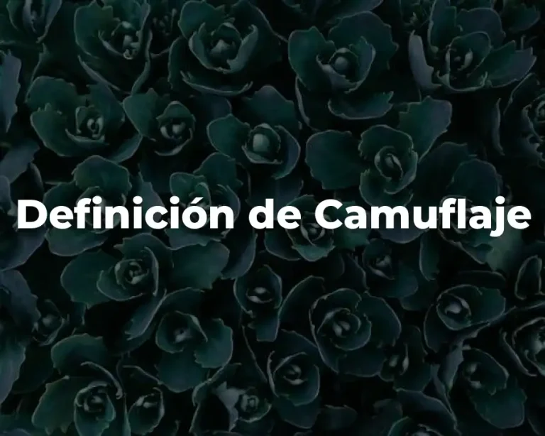 Definición de Camuflaje