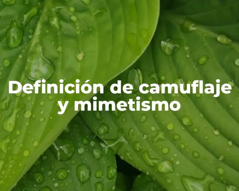 Definición de camuflaje y mimetismo