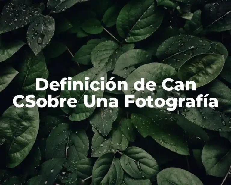 Definición de Can CSobre Una Fotografía