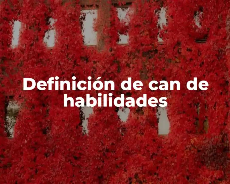 Definición de can de habilidades