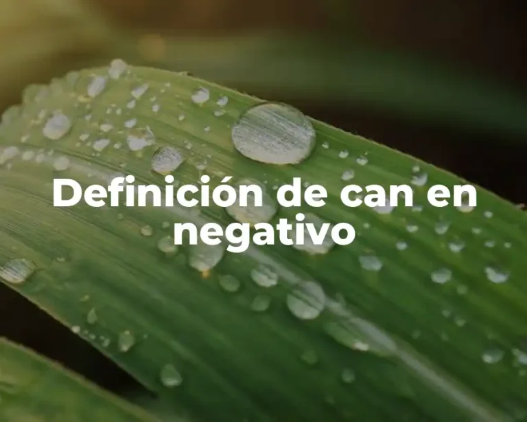 Definición de can en negativo