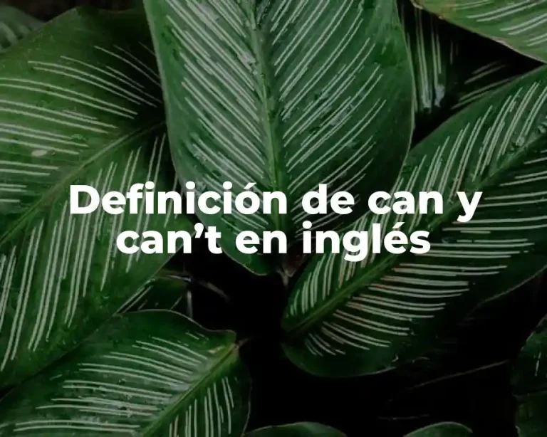 Definición de can y can’t en inglés