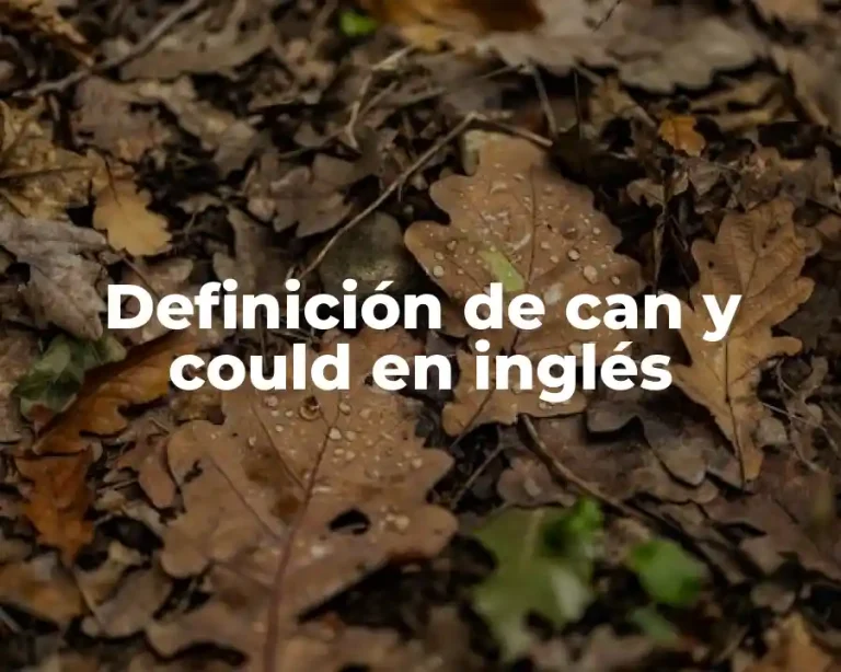 Definición de can y could en inglés
