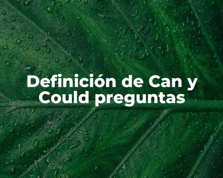 Definición de Can y Could preguntas