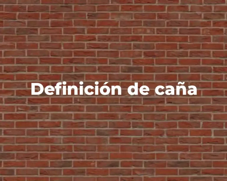 Definición de caña