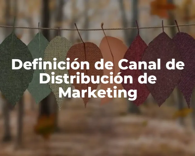 Definición de Canal de Distribución de Marketing