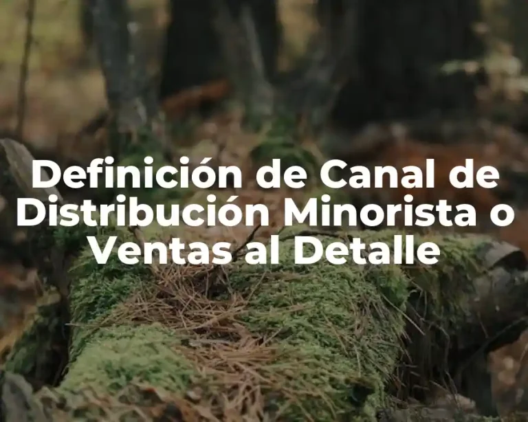 Definición de Canal de Distribución Minorista o Ventas al Detalle
