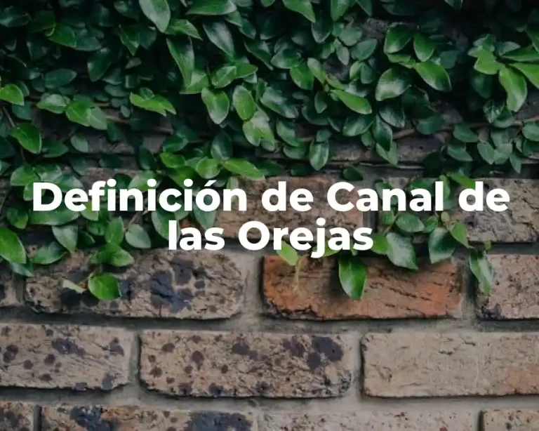 Definición de Canal de las Orejas