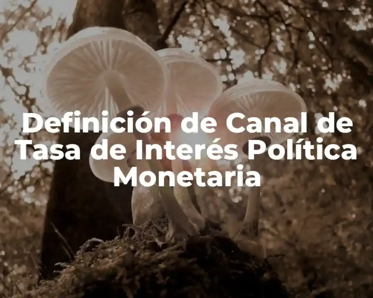Definición de Canal de Tasa de Interés Política Monetaria