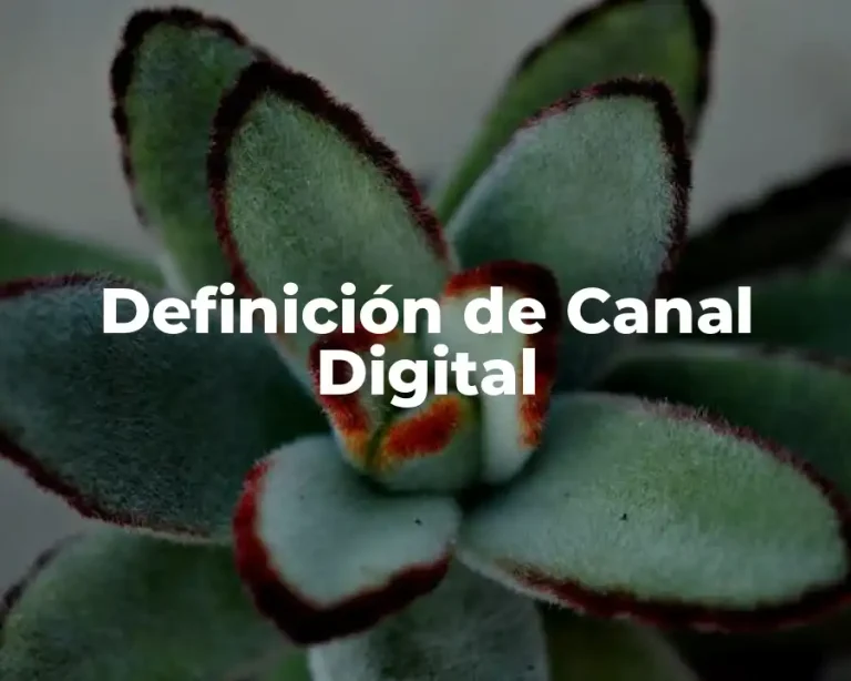 Definición de Canal Digital