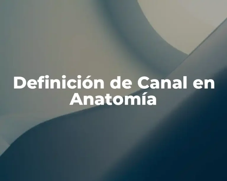 Definición de Canal en Anatomía