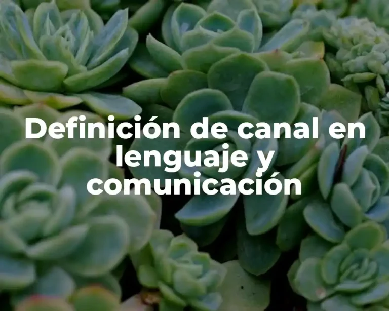Definición de canal en lenguaje y comunicación