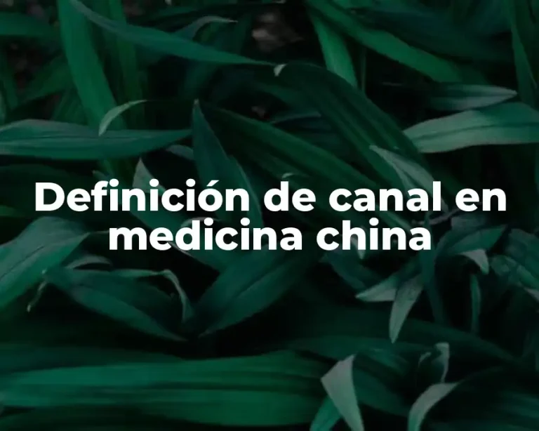 Definición de canal en medicina china