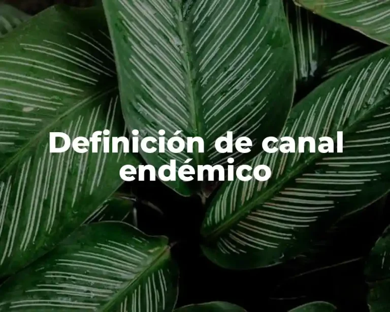 Definición de canal endémico