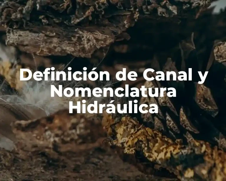 Definición de Canal y Nomenclatura Hidráulica