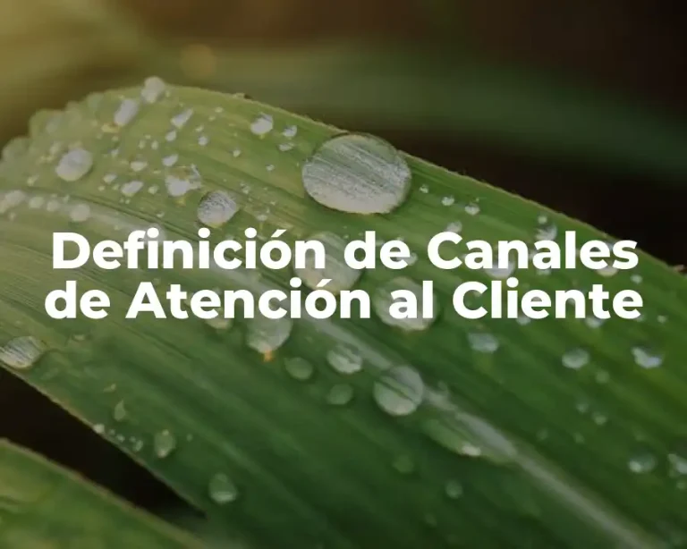 Definición de Canales de Atención al Cliente